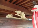 photo15