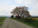 photo43