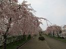 photo44