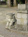photo47