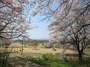 photo07