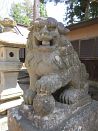 photo28
