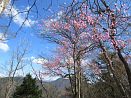 photo06