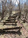 photo14