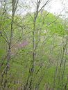 photo15