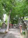 photo41
