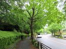 photo02
