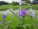 photo01