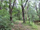 photo06