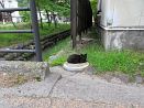 photo01