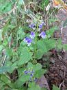 photo07