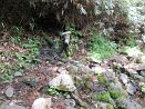 photo23