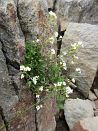 photo28
