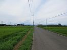 photo11