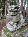 photo46