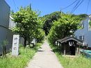 photo26