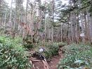 photo09