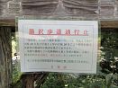 photo11