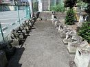 photo25