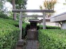 photo49