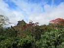 photo25