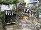 photo14