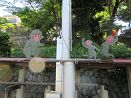 photo18