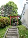 photo17