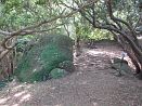 photo23