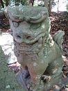 photo48