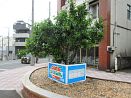 photo02