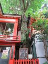 photo04