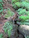 photo20