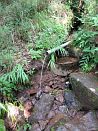 photo22