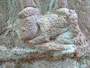 photo08