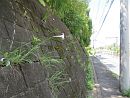 photo12
