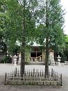 photo03