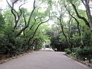 photo05