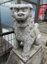 photo40