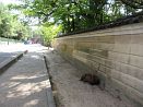 photo03