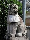 photo43