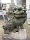 photo11